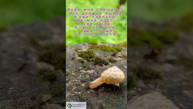 Если вы всегда спешите, вы можете пропустить чудо! #shorts