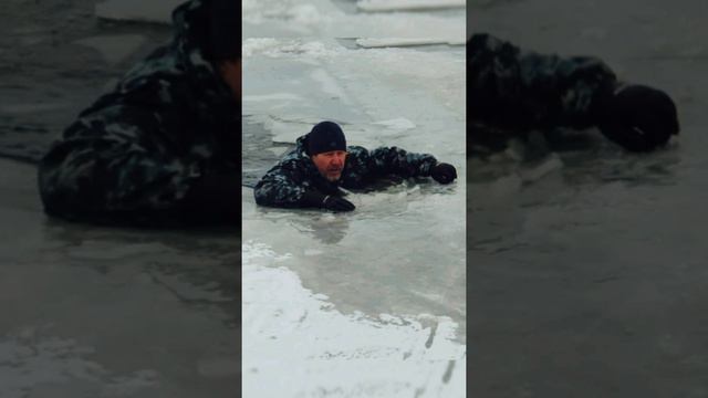 Почему сеттер не только охотник но и спасатель?