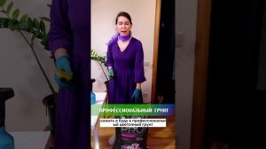 Как вырастить бегонию из клубня