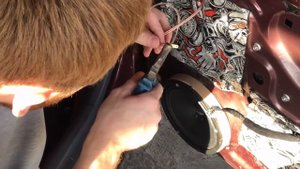 Рупора, пищалки, классный вид, в акцент обшивок. Установка рупоров от мафона Pioner