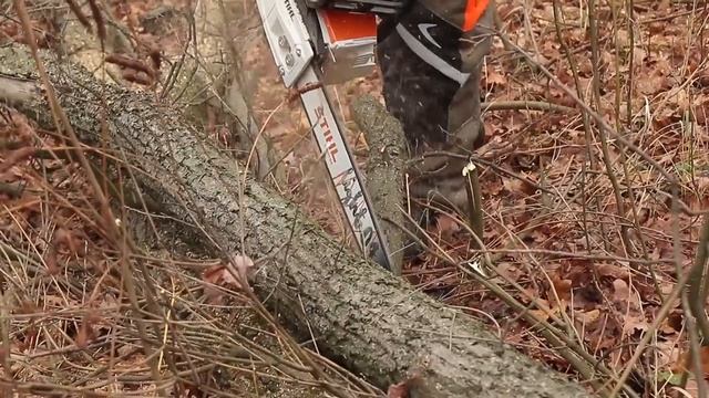 Акумуляторна пила STIHL МSA 300С смотреть онлайн