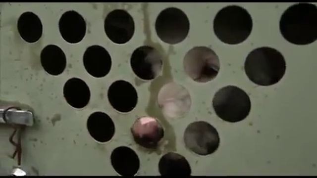 Планета Собак 37 Выпуск - Испанская паденко (Испания) / 2014 смотреть онлайн