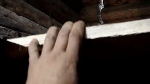 Овощная яма*потолок*