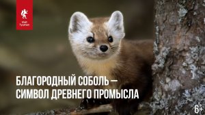 Что такое Сибирь?