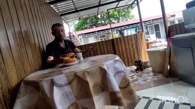 ЗАВТРАК В БЕСЕДКЕ//ПИРОЖКИ С ЛИВЕРОМ смотреть онлайн