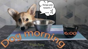 Утро начинается