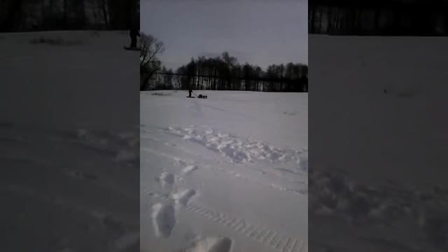 Самодельная мотособака