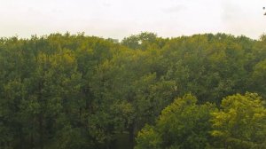 ЖК Тимирязев парк Вид из окон 5-го этажа