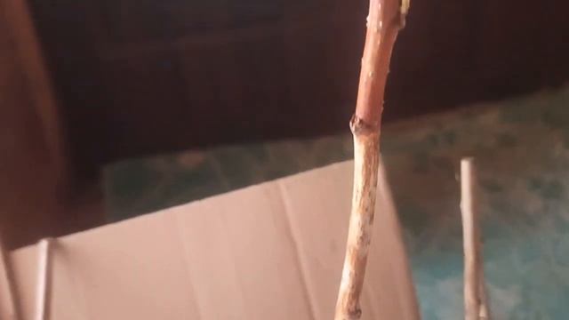 Агро -Маркет отзыв (відгук)@AgroMarketnetOfficial смотреть онлайн