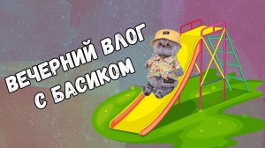 Вечерний влог с басиком