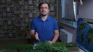 5 причин попробовать микрозелень. Microgreen - это современный суперфуд, насыщенный витаминами