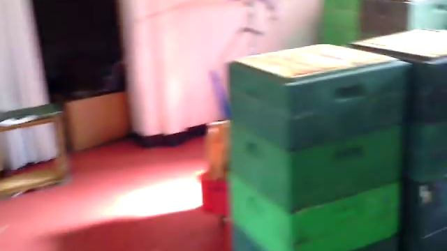 Пасека Theis смотреть онлайн