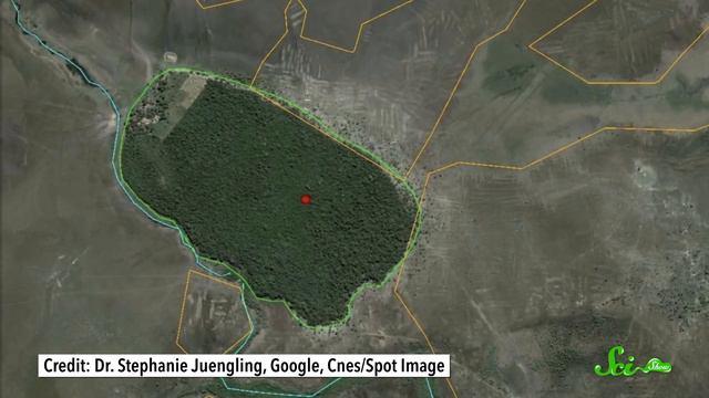 The Secrets of History Preserved in Earth's Ecosystems смотреть онлайн