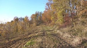 PANASONIC HC X2000 -TEST SUL CAMPO-