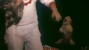 На высоком там, на бережке   1986г