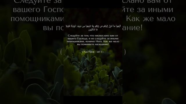 «Следуйте за тем, что ниспослано вам от вашего Господа, и не следуйте за иными помощниками, помимо