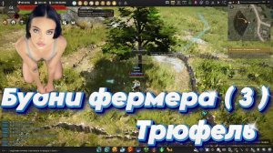 Black Desert. Shai. Будни Фермера (3). Селекция Трюфеля
