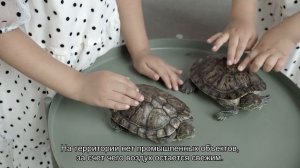 Закинф на карте Греции: пляжи и достопримечательности, погода на острове