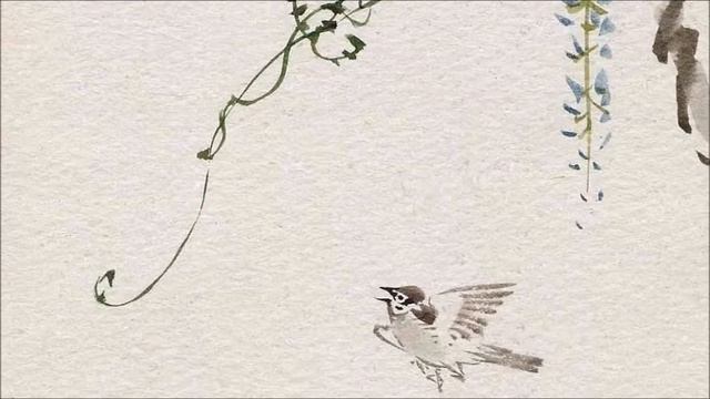 Werner Heider 1930: Solfeggio 2009