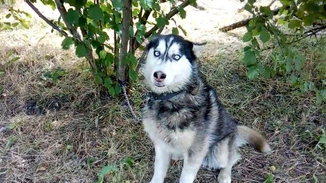 #бетон#сено#дачи  Бетонные работы