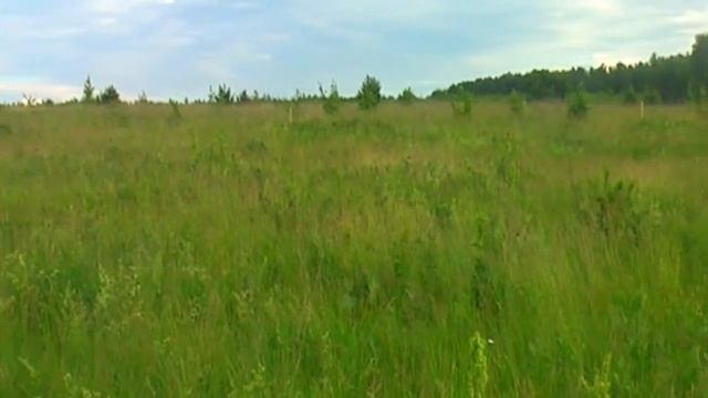 Уединение с природой- Приокские дали смотреть онлайн