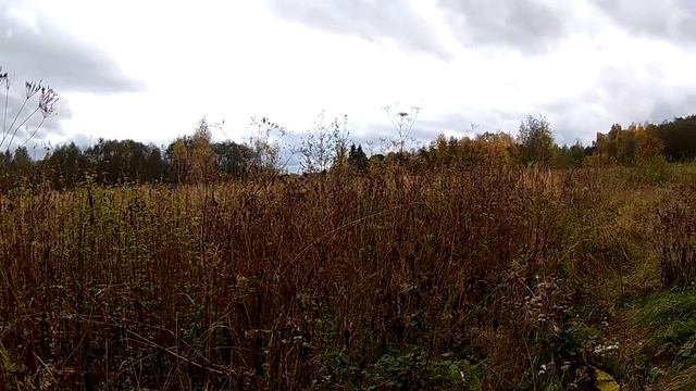 Наши надворные постройки // Из города в деревню смотреть онлайн