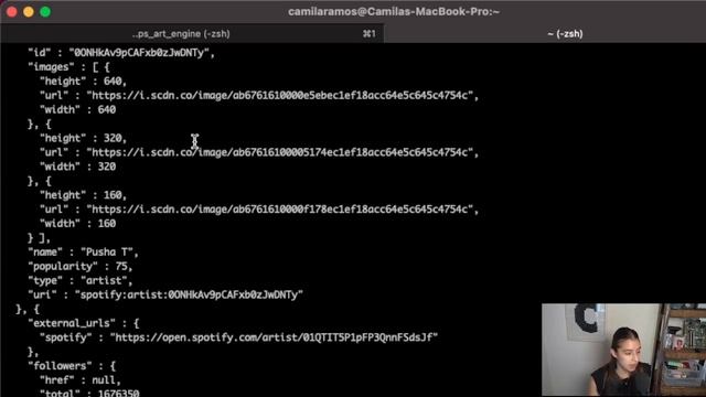 Intro to Web APIs | SWE Intern Interview Prep смотреть онлайн