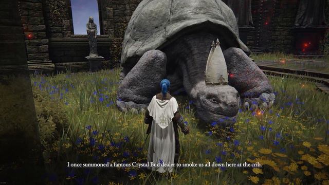 Unused Miriel dialogue and menu | Elden Ring