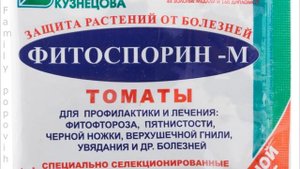 Важный Уход за Томатами от Фитофторы Во Время Цветения Помидоры Будете Собирать Ведрами! Фитофтороз