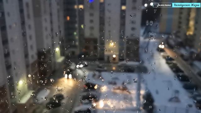 Добрые утра и вечерелы, дождливая зима в Рязани, цены, предновогодие, нескучная жизнь пенсионеров