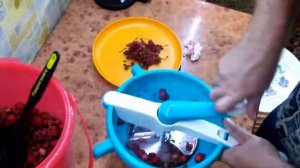 Великолепная мельница "Фантазия" TUPPERWARE.
