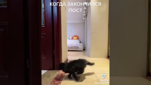 когда закончился пост