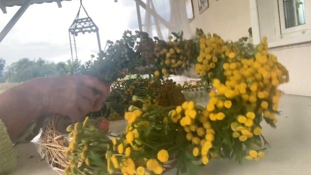 Интерьер без особых затрат Выпуск 21/14 «Веночек из пижмы» смотреть онлайн