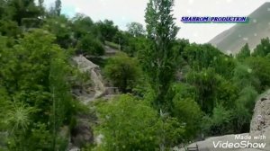МАНЗАРАХОЙ УРМЕТАН БАХОР ТИРАМОХ#LevTJ_обуна_шавед