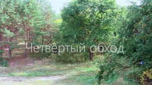 Васильевские острова   Обходы