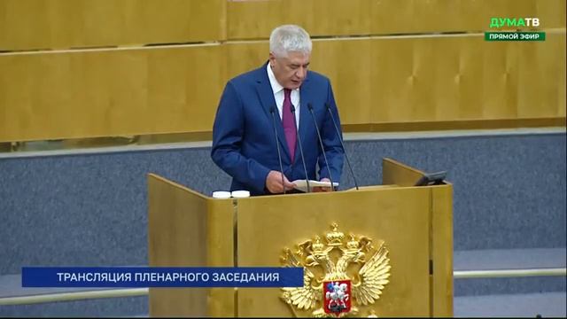Выступление Владимира Колокольцева в Государственной Думе в рамках «правительственного часа»
