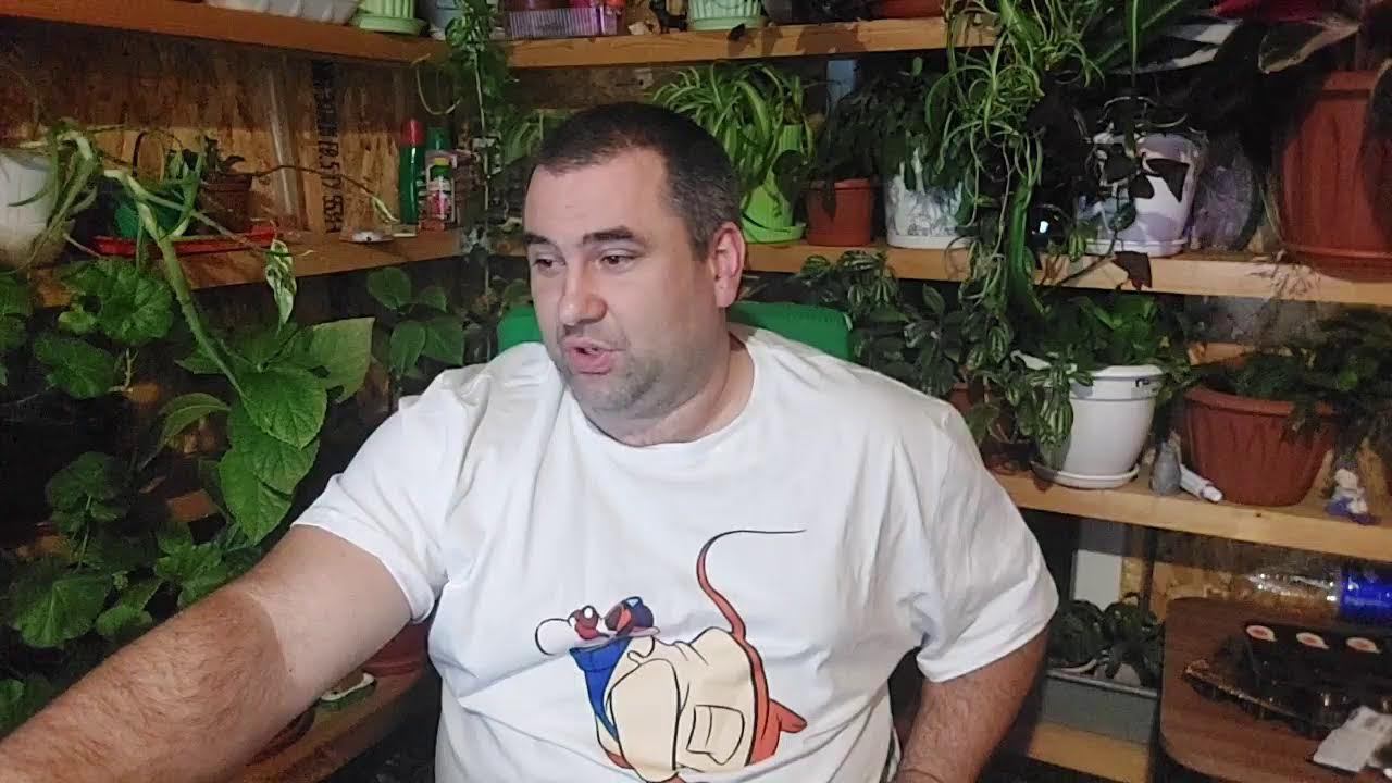 Быстрые новости