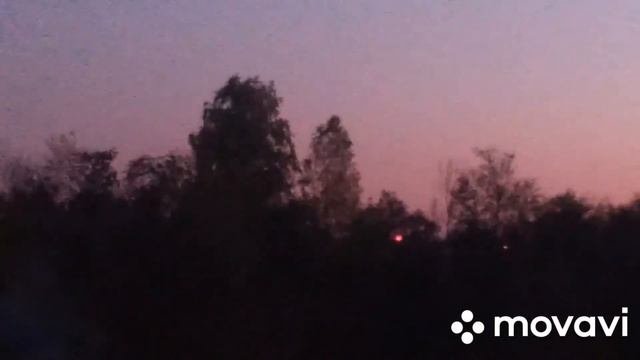 Летний вечер #природа