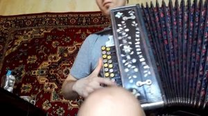 Карапет на любительской гармони.