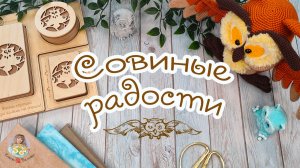 ?СОВИНЫЕ радости? РУКОДЕЛЬНЫЕ богатства ✨