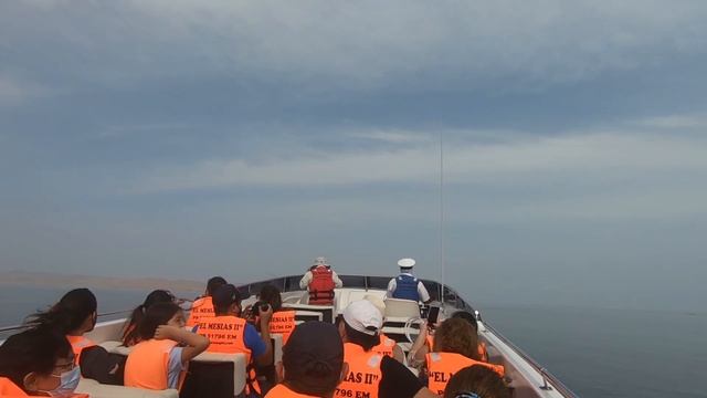 ОСТРОВА БАЛЬЕСТАС. ПАРАКАС ПАРК ПЕРУ смотреть онлайн