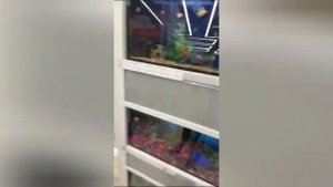 Качаемся в Спортмастер