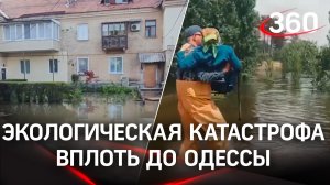 Экологическая катастрофа вплоть до Одессы угрожает Чёрному морю после подрыва Каховской ГЭС