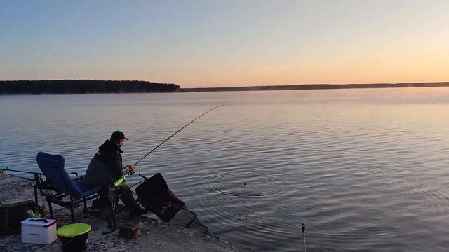 СУМЕРКИ В ДЕСНОГОРСКЕ ; Взгляд Алексея на события той ночи (29-30 июля 2023 года) смотреть онлайн