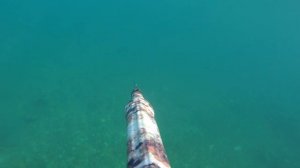 Ленки на Ангаре