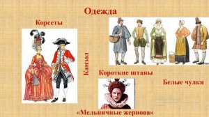 Западная Европа. Западная Европа в XVII–XVIII вв.. Тема 8. Повседневная жизнь европейцев