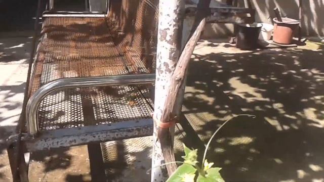 Как сделать качалку из кровать с панцирной сеткой. Качалка для дачи - лайфхак смотреть онлайн
