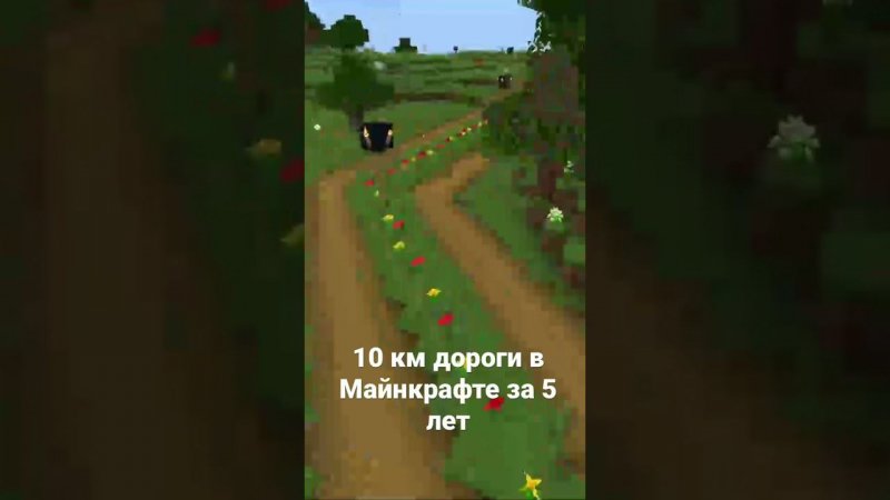 10 км дороги в Minecraft за 5 лет!