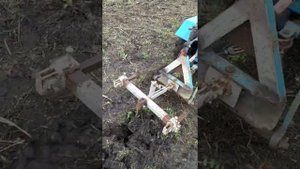 Минитрактор с мотоблока, копаем морковь......