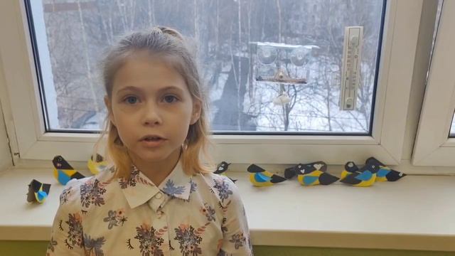 забота о птицах зимой.